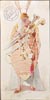 Costumes d'une revue du Second Empire