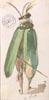 Costumes d'une revue du Second Empire